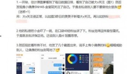 网红大瓜文件docx 明星黑料网,明星黑料网背后的真相与影响