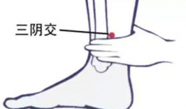 过量吃瓜容易腹痛腹泻吗,揭秘夏日消暑食品的潜在风险