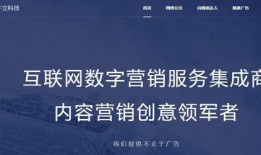 社会热点话题2025 网红大鹅,大鹅的逆袭与社交媒体的魔力